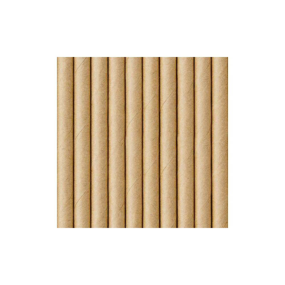 Paper straws - PartyDeco - kraft, 19,5 cm, 10 pcs.