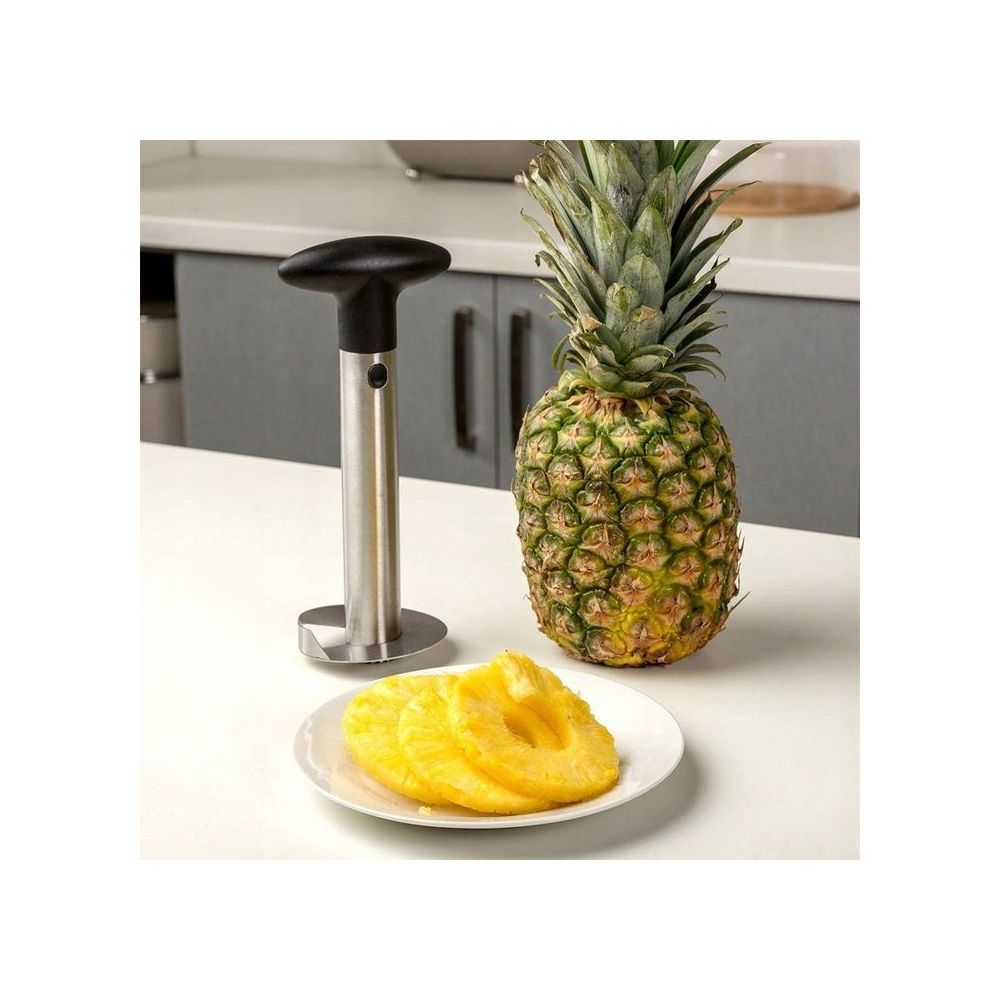 Pineapple cutter - Nava - 24 cm