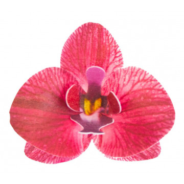 Waffle orchids - Rose Decor - 3D, burgundy, 10 pcs