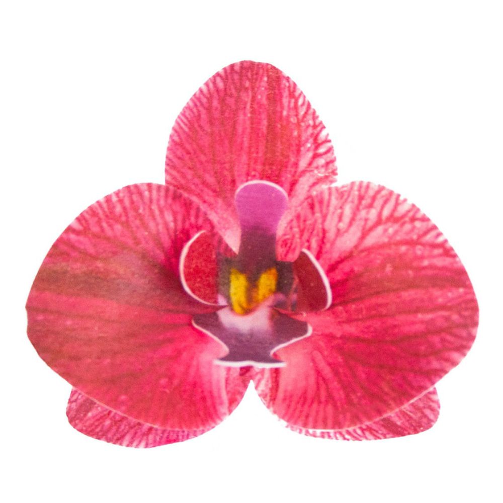 Storczyki waflowe - Rose Decor - 3D, bordowe, 10 szt.
