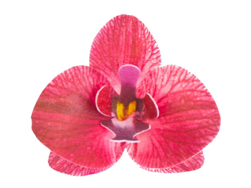 Waffle orchids - Rose Decor - 3D, burgundy, 10 pcs