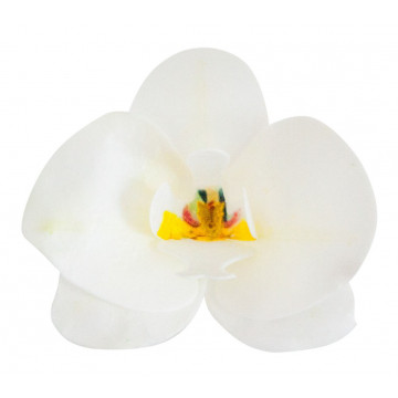 Storczyki waflowe - Rose Decor - 3D, białe, 10 szt.