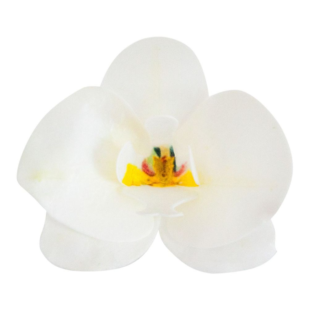 Waffle orchids - Rose Decor - 3D, white, 10 pcs