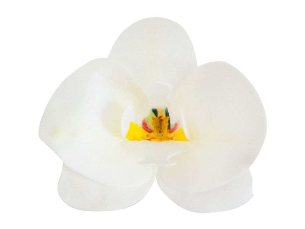 Storczyki waflowe - Rose Decor - 3D, białe, 10 szt.