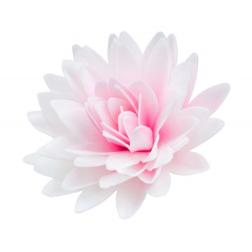 Peony aster wafer - Rose Decor - 3D, shaded pink