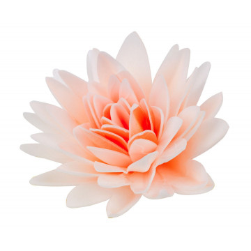 Peony aster wafer - Rose Decor - 3D, shaded salmon