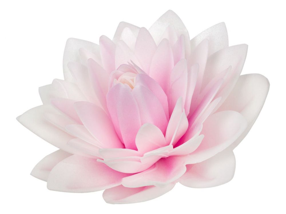 Wafer dahlia - Rose Decor - 3D, shaded pink