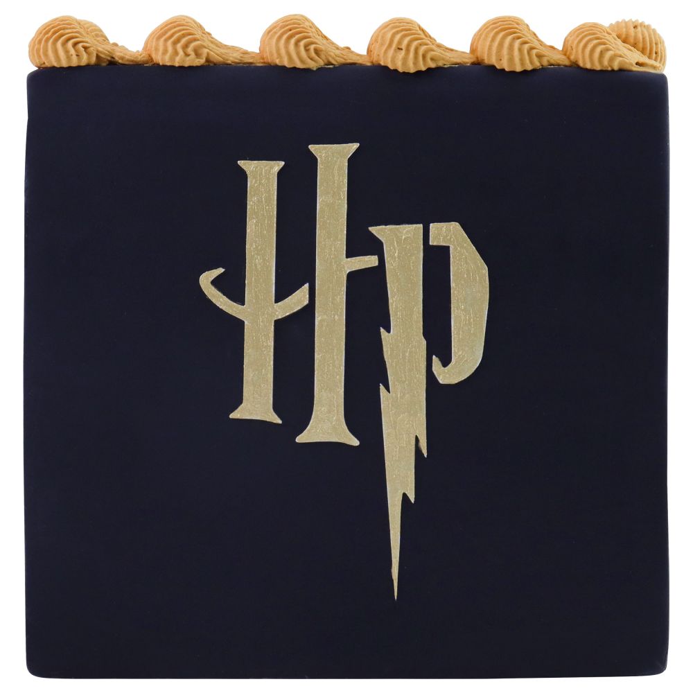 Szablon do kształtów z masy Harry Potter - PME - Duże Logo