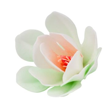 Dekoracja waflowa Magnolia - Rose Decor - 3D, biała, 6 szt.