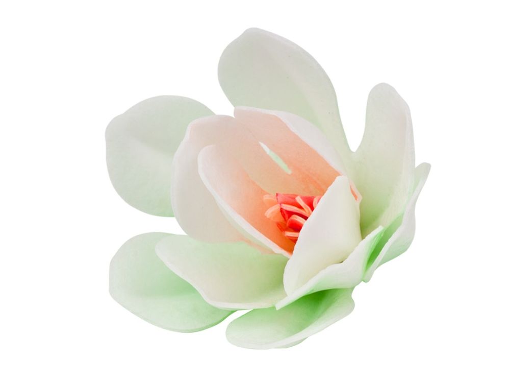 Dekoracja waflowa Magnolia - Rose Decor - 3D, biała, 6 szt.