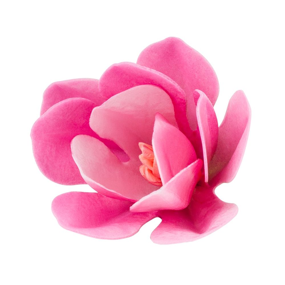Dekoracja waflowa Magnolia - Rose Decor - 3D, różowa, 6 szt.