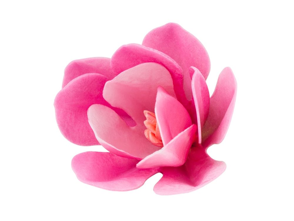 Waffle decoration Magnolia - Rose Decor - 3D, pink, 6 pcs.