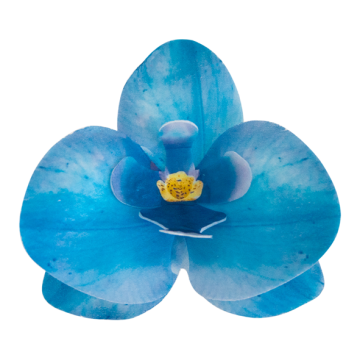 Waffle decoration Orchid - Rose Decor - 3D, blue, 10 pcs.