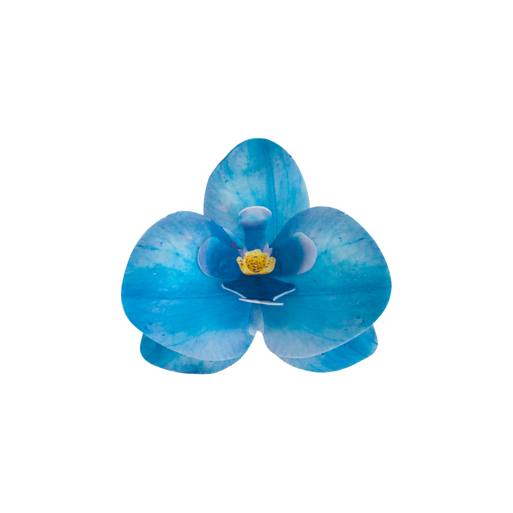 Waffle decoration Orchid - Rose Decor - 3D, blue, 10 pcs.