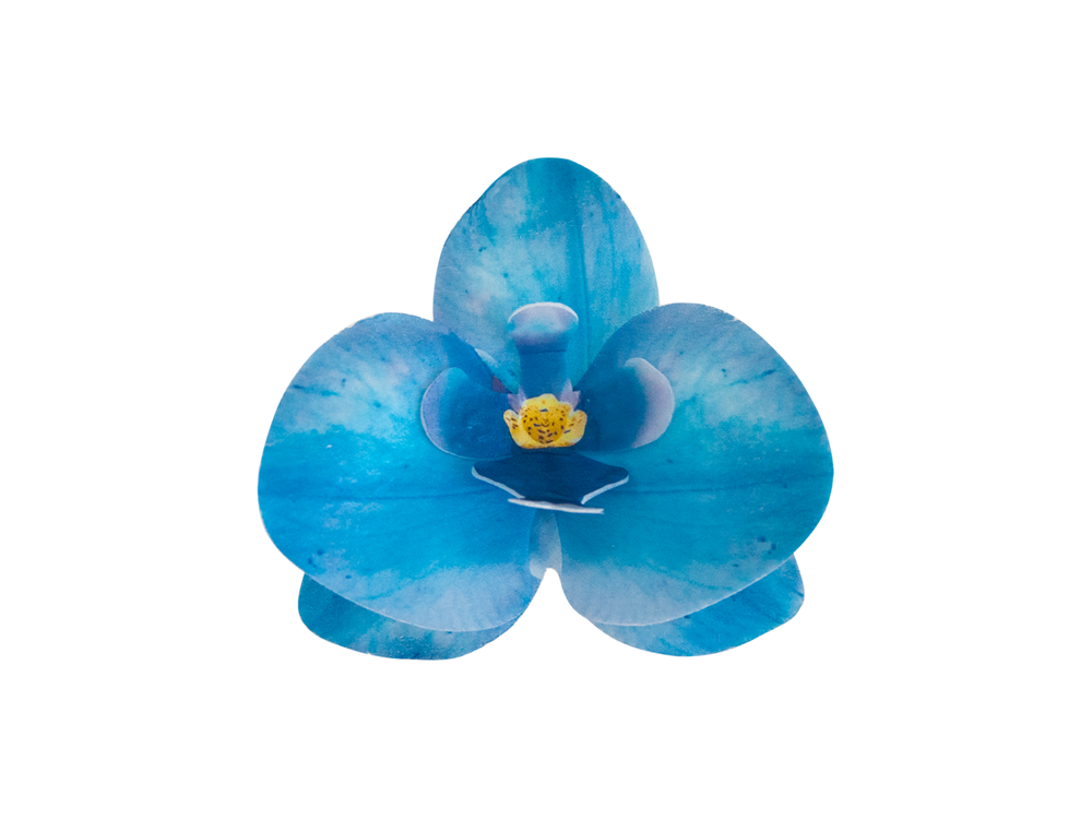Dekoracja waflowa Storczyk - Rose Decor - 3D, niebieski, 10 szt.