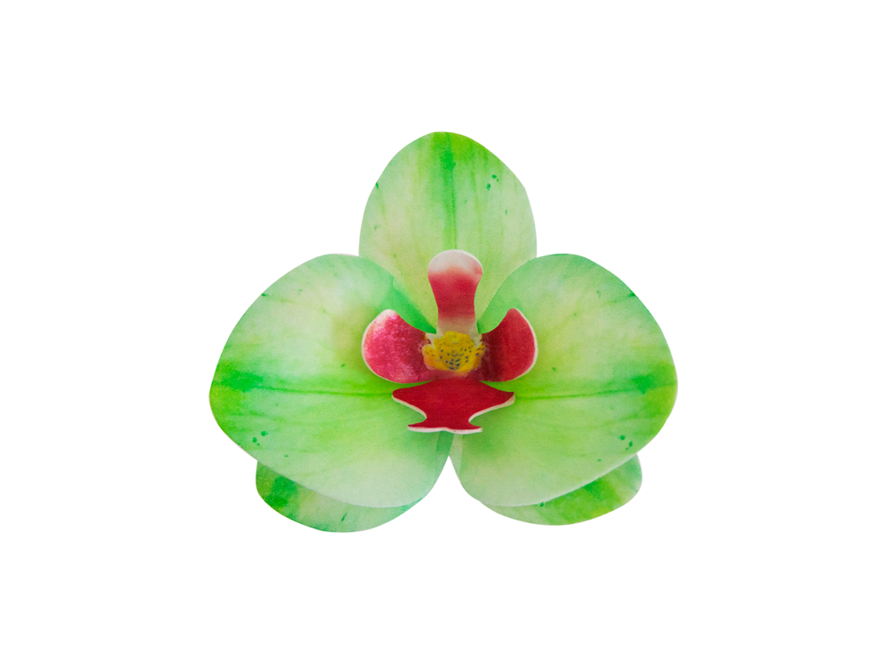 Waffle decoration Orchid - Rose Decor - 3D, celadon, 10 pcs.