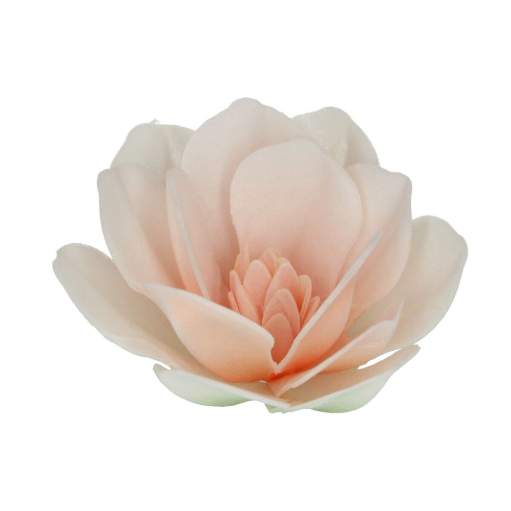 Jadalne kwiaty waflowe Magnolia - FunCakes - brzoskwiniowe, 6 szt.