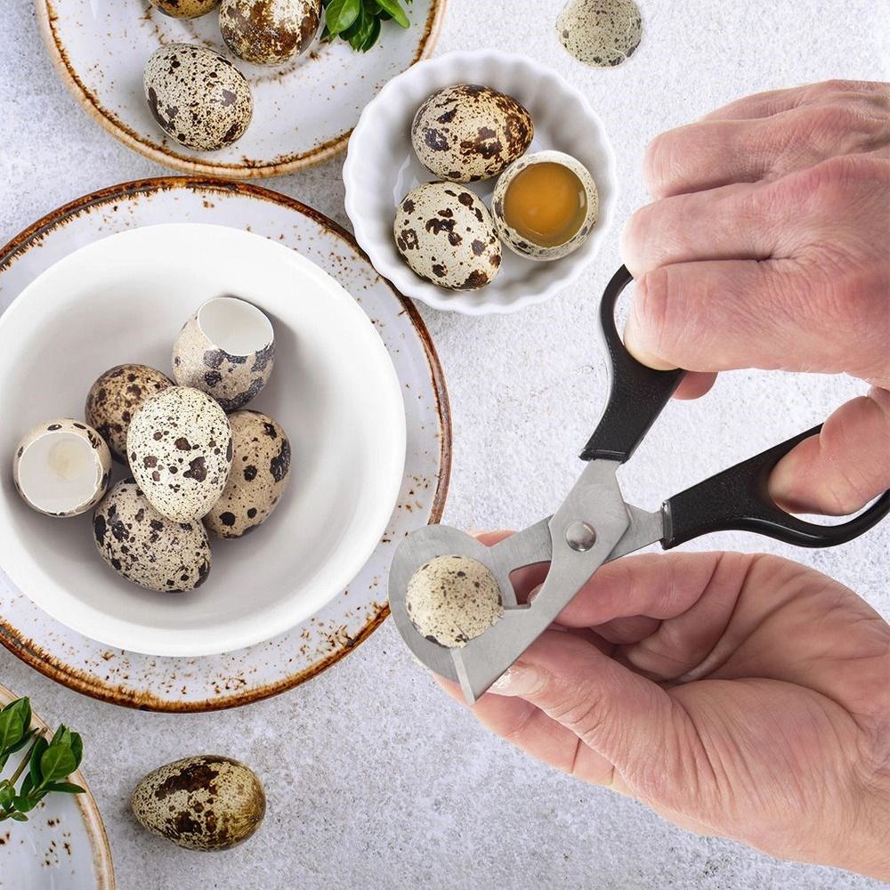Quail egg cutter – Orion - 14,5 cm