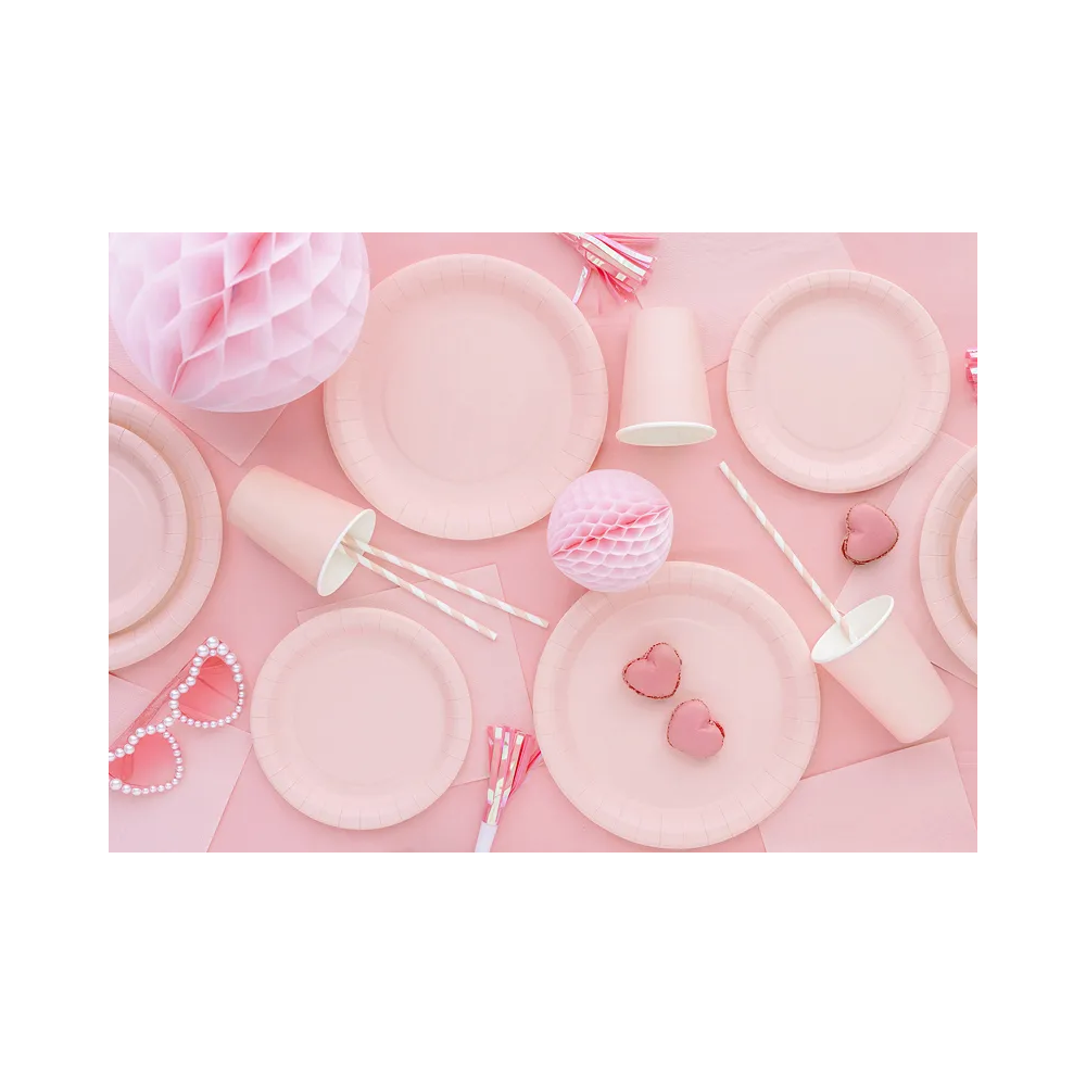 Paper plates - PartyDeco - light pink 23 cm 6 pcs
