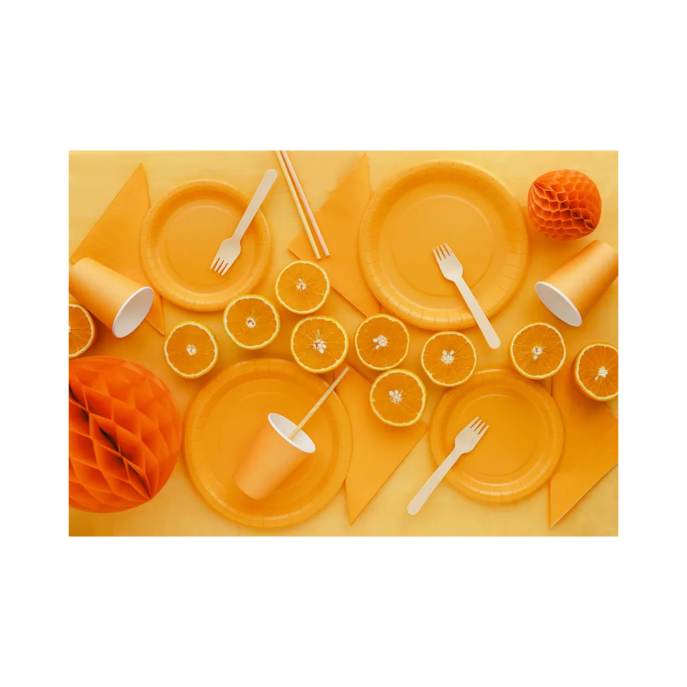 Paper plates - PartyDeco - orange 18 cm 6 pcs