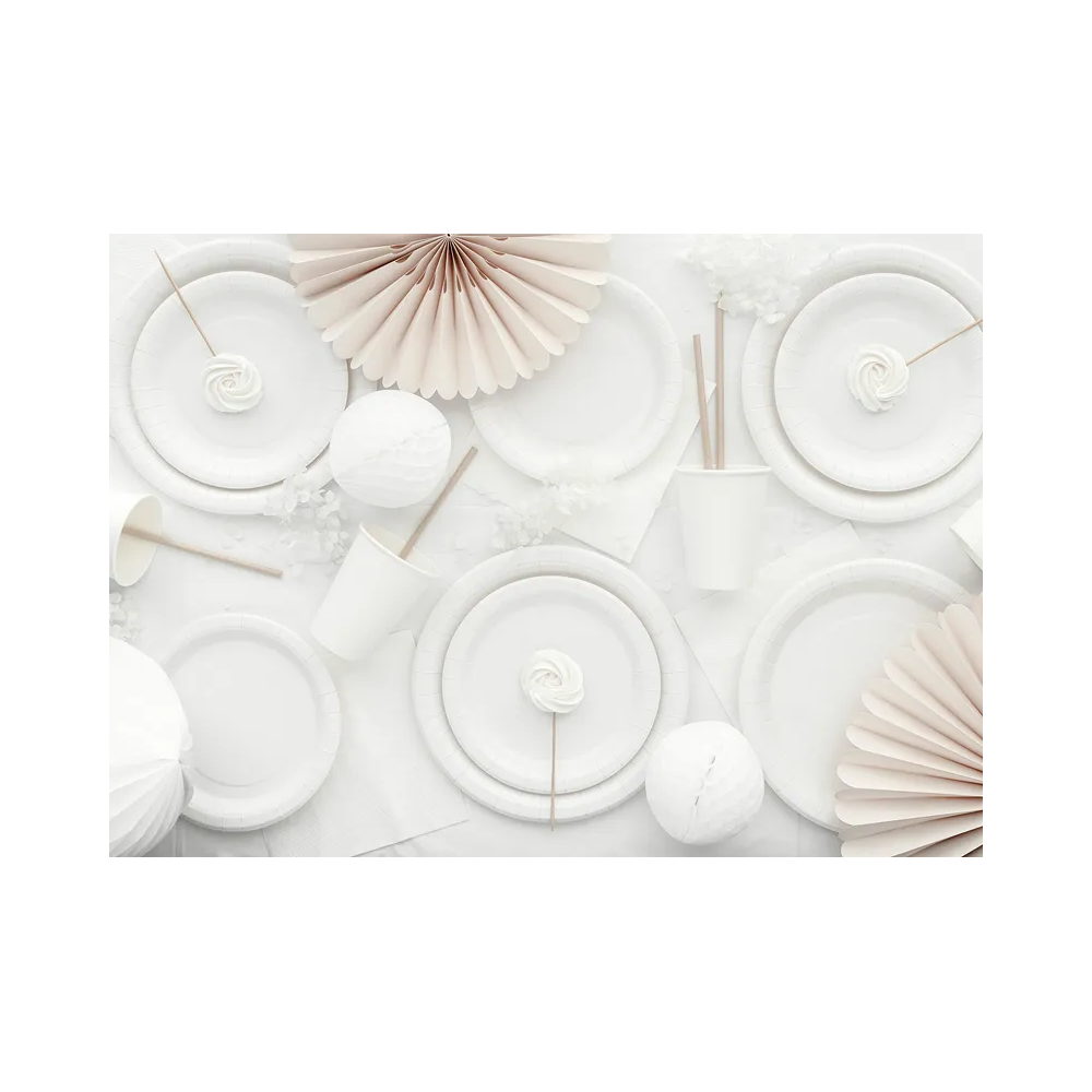 Paper plates - PartyDeco - white 18 cm 6 pcs