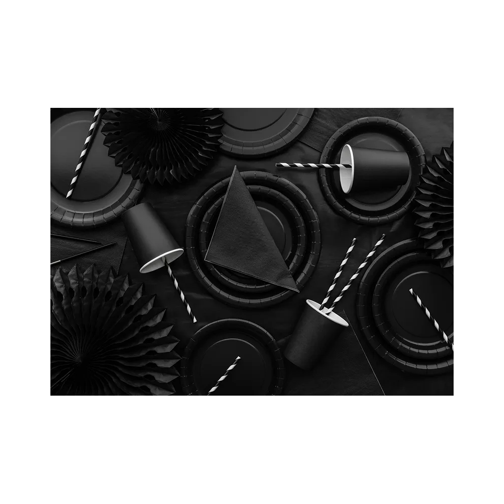 Paper plates - PartyDeco - black 18 cm 6 pcs