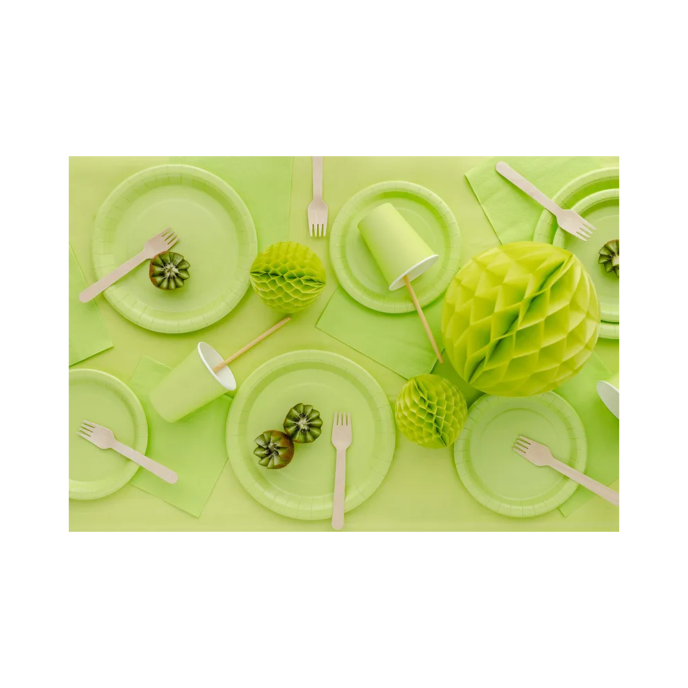 Paper plates - PartyDeco - light green 18 cm 6 pcs