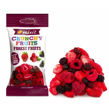 Crunchy fruits - Mixit - forest fruits 20 g