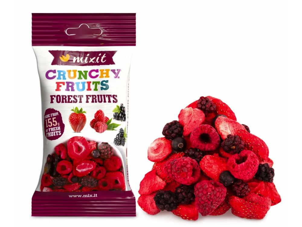 Chrupiące owoce do kieszeni - Mixit - mieszanka leśna 20 g