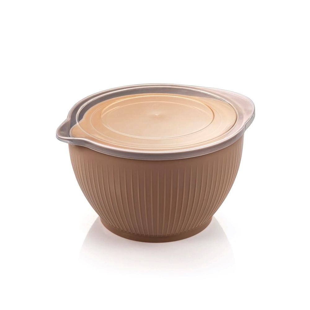 Set of a bowls with lids - Tescoma - 2 pcs.