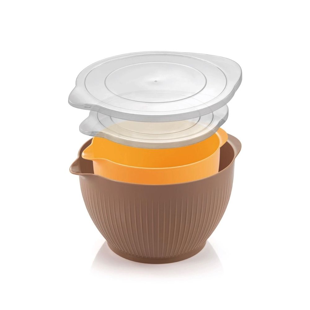 Set of a bowls with lids - Tescoma - 2 pcs.